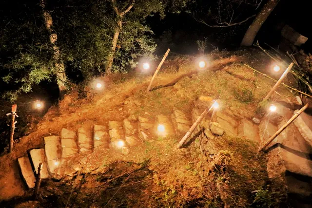 Stars & Pines Hostel