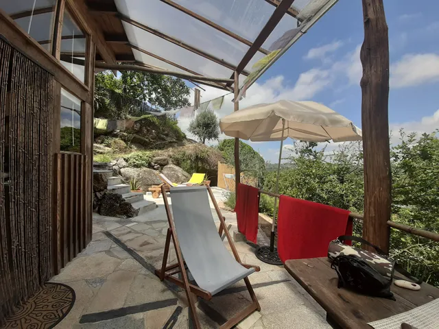 Quinta Bamboo Portugal