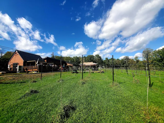 Affordable Spiritual Retreats NY and Upstate NY in the Catskill Mountains