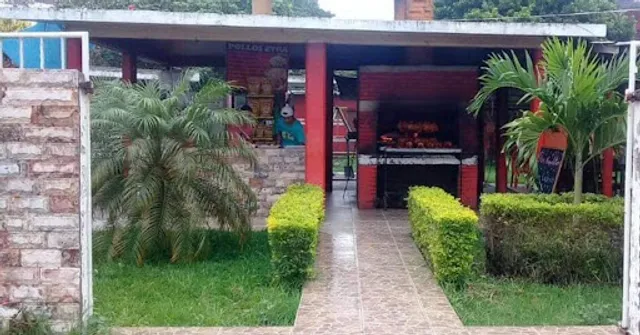 Pollos Zyra