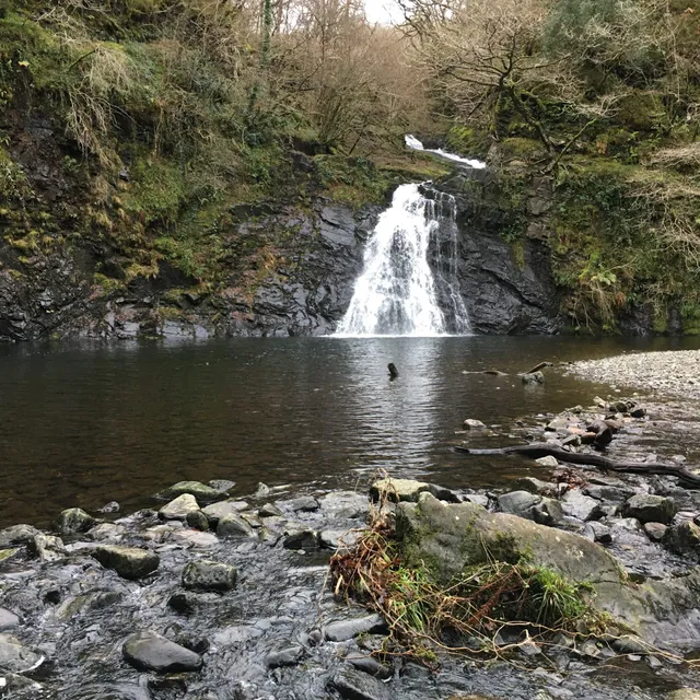 Ceunant Llennyrch National Nature Reserve