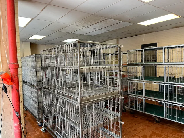 Brooklyn Live Poultry Market (Halal)