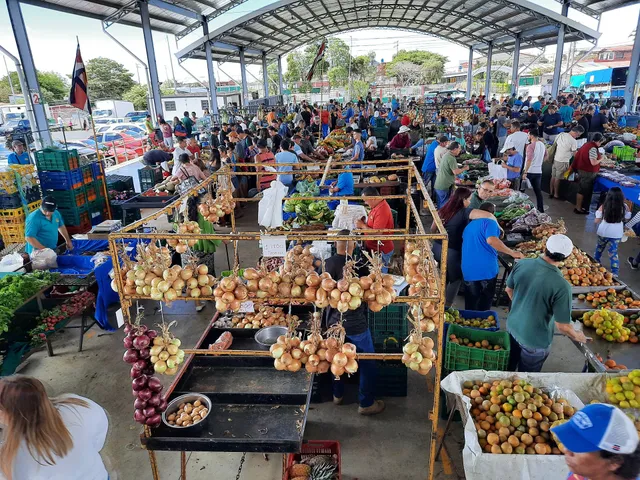 Farmer's Market • San Rafael