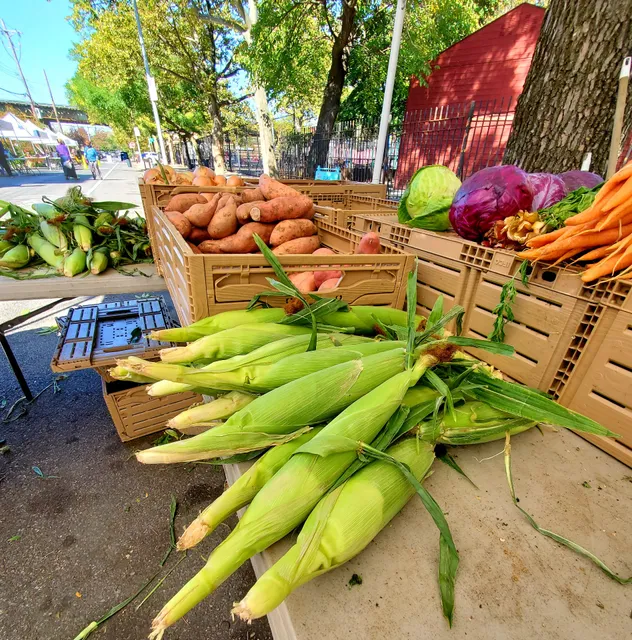 United Community Centers Daycare / East New York Farms!