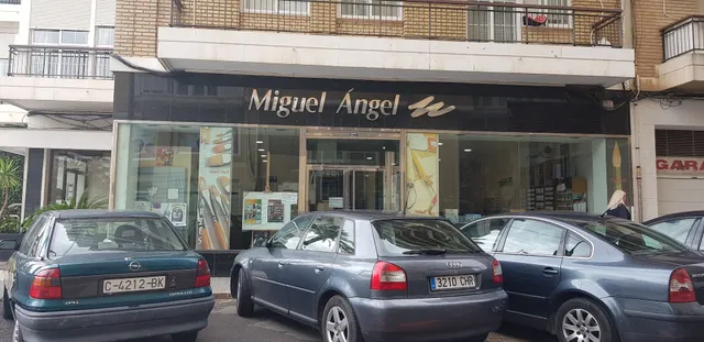 Miguel Ángel Bellas Artes