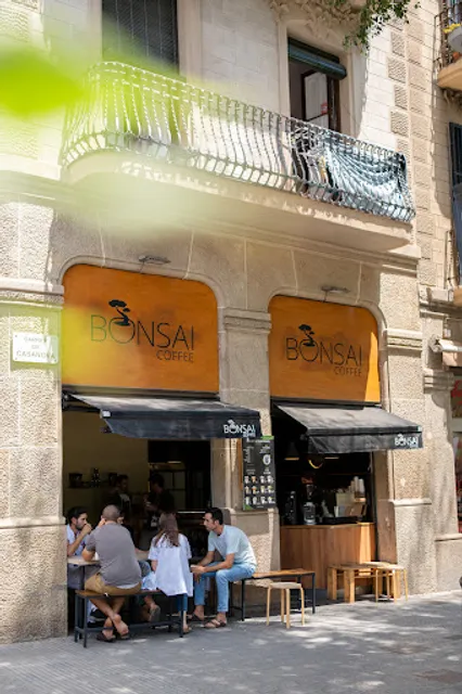 Bonsai Matcha & Coffee