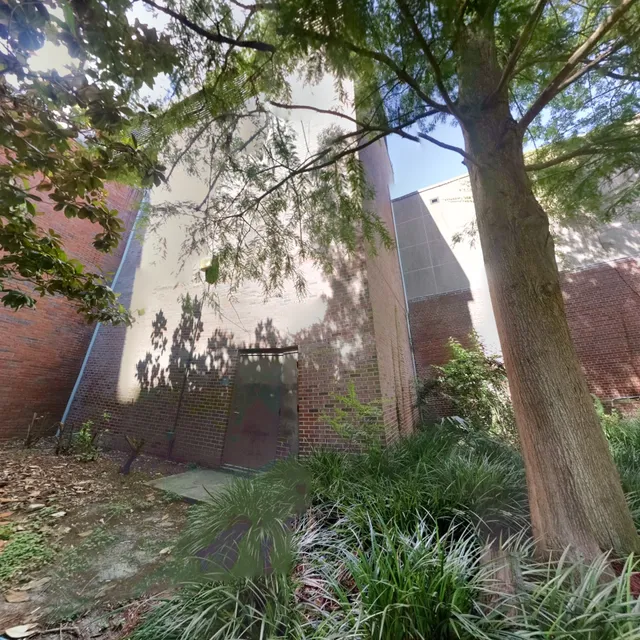 University of Florida | College of Dentistry