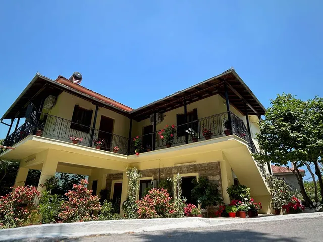 ΛΕΥΚΗ ΚΑΜΕΛΙΑ