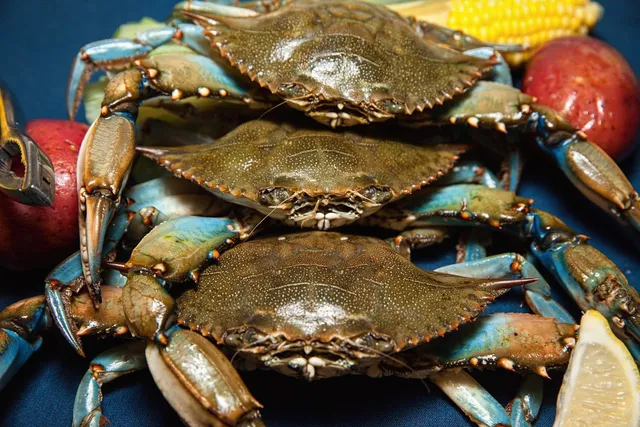 Coastal Restaurants and Bars Corporate Office