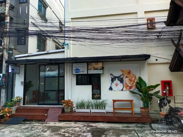 Chiang Mai Walking Street Home