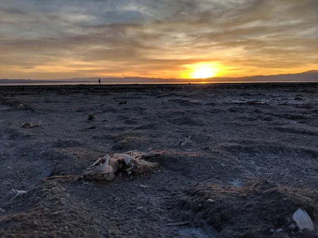 Bombay Beach Campground
