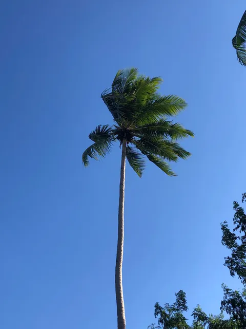 Boodle Fight Resto & Bar