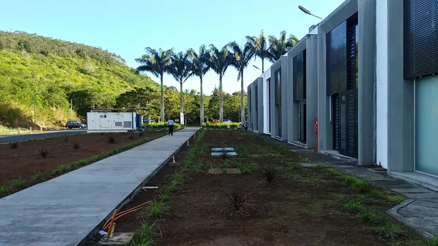 Socota Phoenicia Ltd