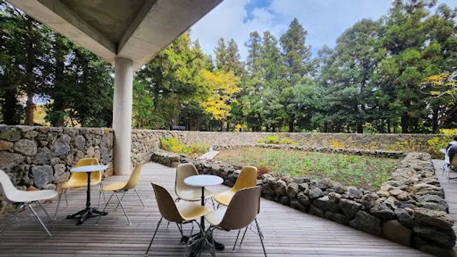 Terarosa Coffee Jungmun Eco Lounge DT Branch