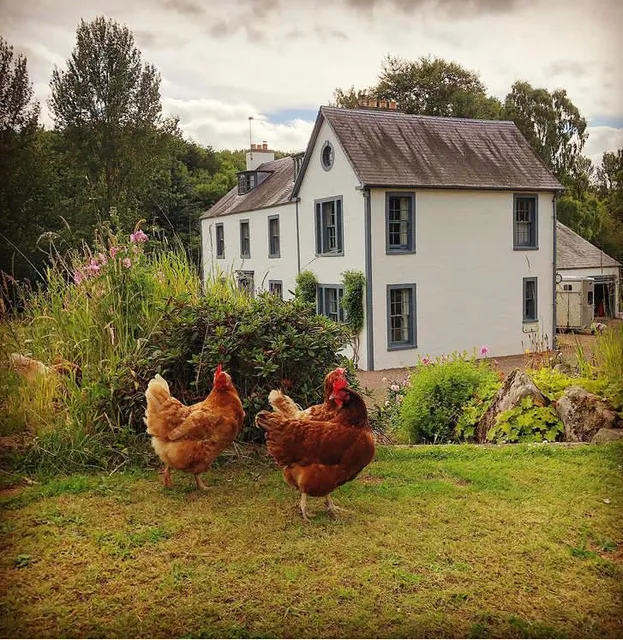 Bedrule Old Manse B&B and Glamping