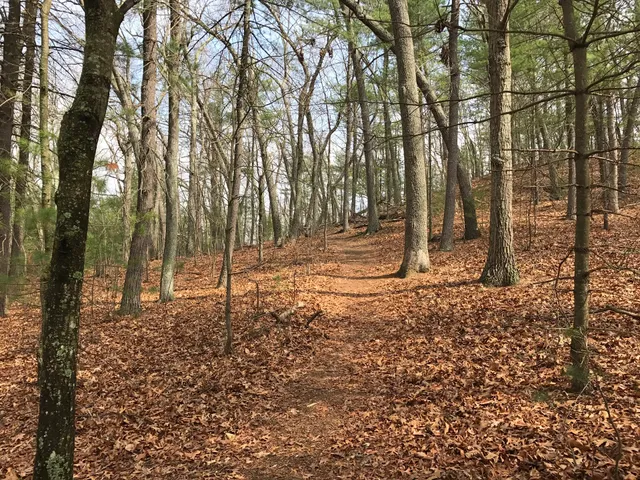Great Meadows National Wildlife Refuge - Sudbury Unit