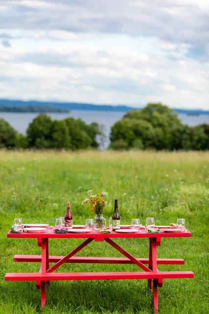 Ellison Estate Vineyard