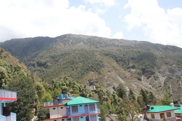 Magic Tree Coffee Shop and Guesthouse