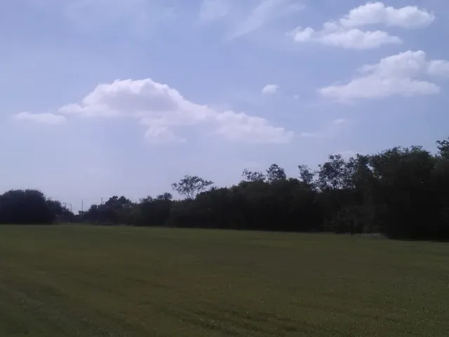 Valley Grass Farms Inc