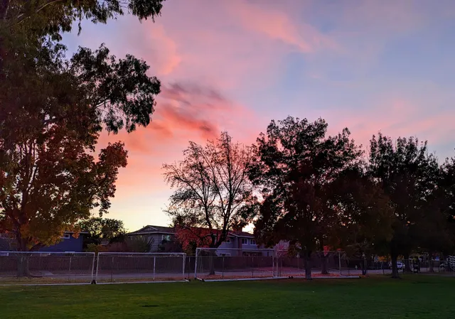 Stevenson School Field