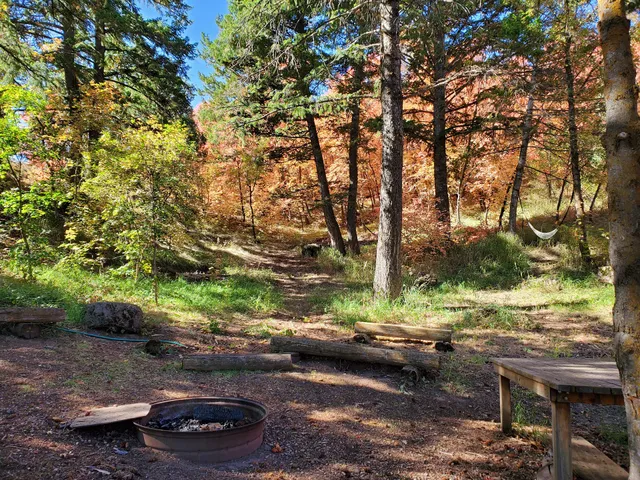 Cabin at Neibaur Mountain