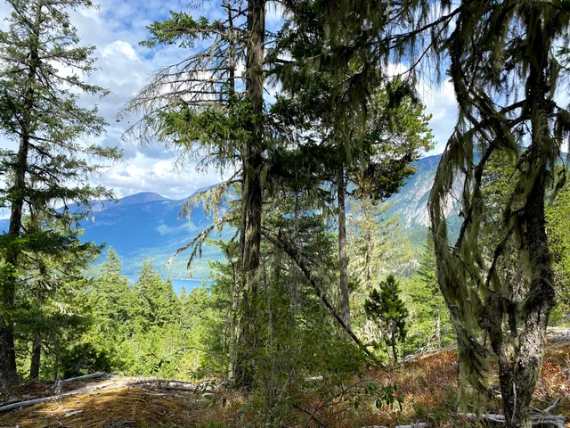 Happy Creek Trailhead