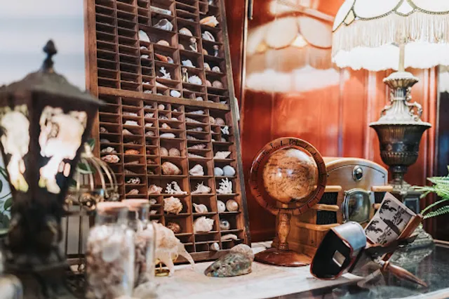 Café Des Curiosités