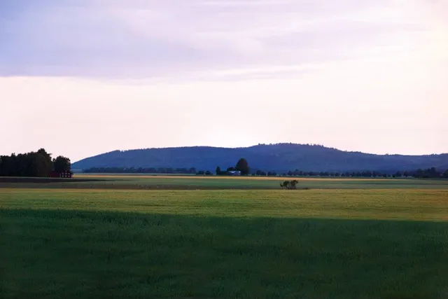 Särtshöga Vingård