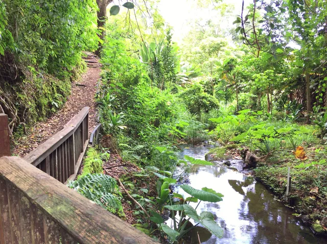 Kanealole Trail