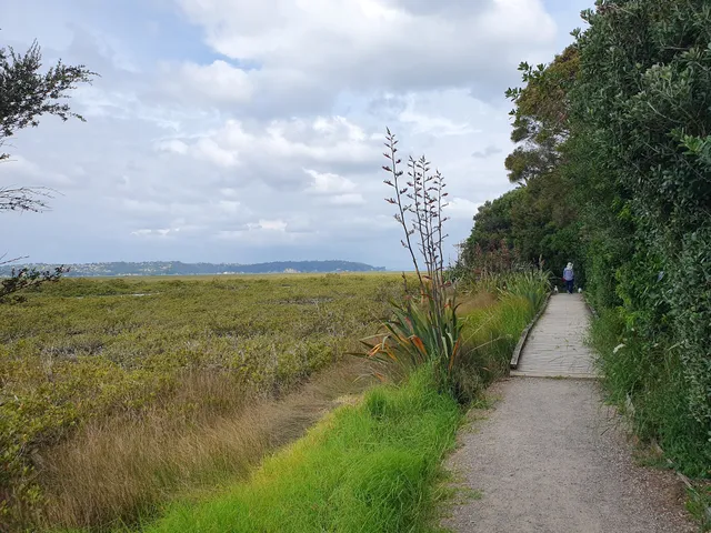 Te Atatu Walkway