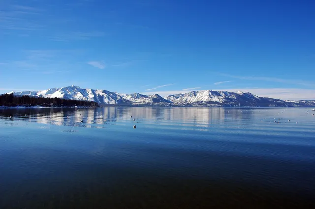 World Class Property Management