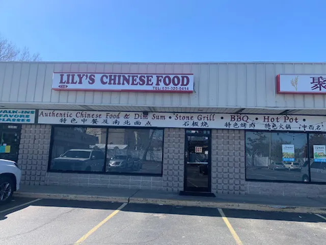 Lily's Chinese Food