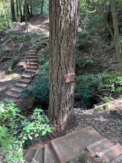 Monte Rio Redwoods Trailhead