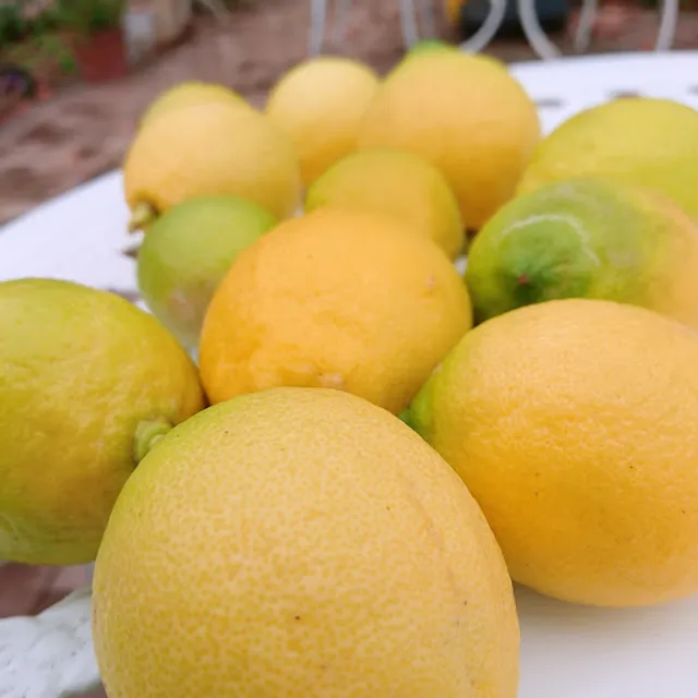 ガーデンカフェ フリフリ