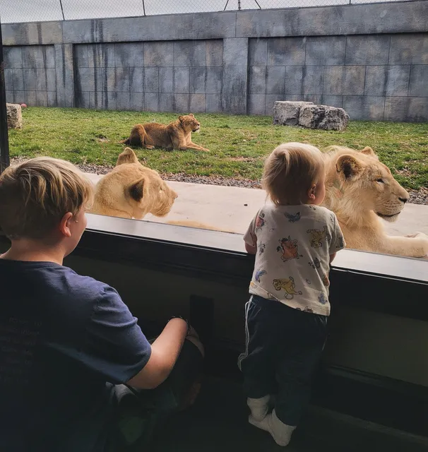 The Haven of The Wild