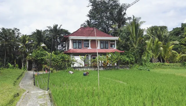 Danaya's Cottage Ubud