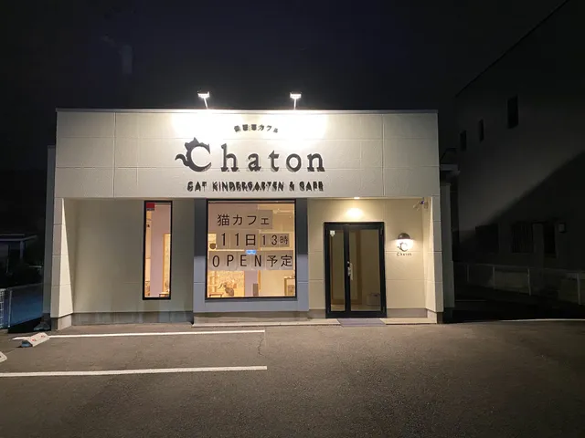 Cat Cafe Chaton