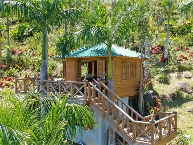 Yuquiyú Treehouses