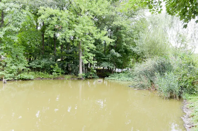 Reed's Basket Willow Swamp Park