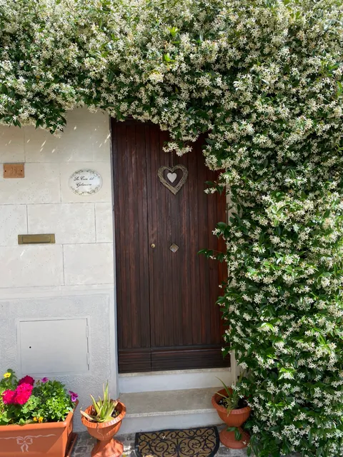 La Casa del Gelsomino