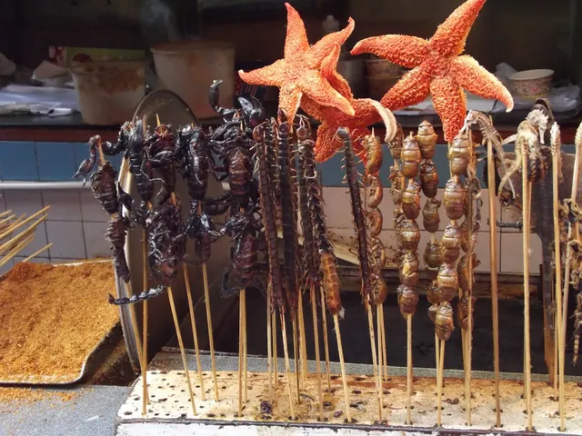 Beijing California Blue Food Street