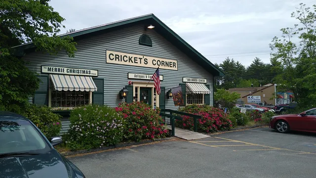 Cricket's Corner