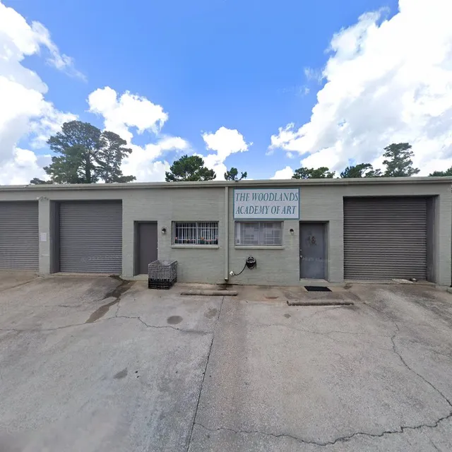 The Woodlands Academy of Art