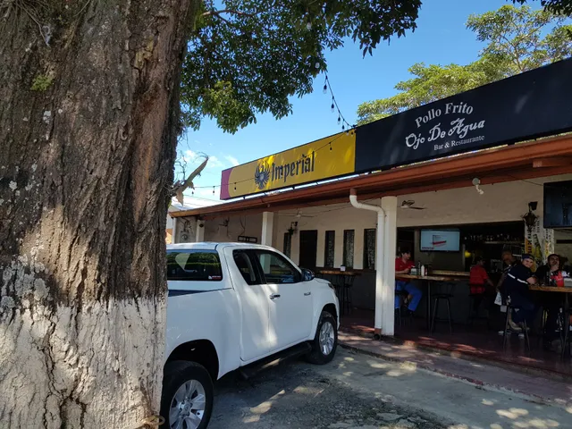 Pollo Frito Ojo de Agua