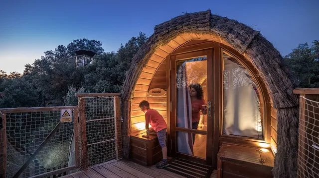 Cabañas en los árboles Monte Holiday Ecoturismo