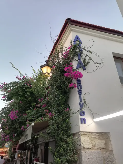 Arya Pansiyon & Kafe