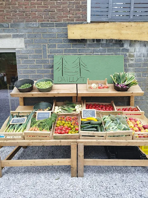 Daillyti votre terroir