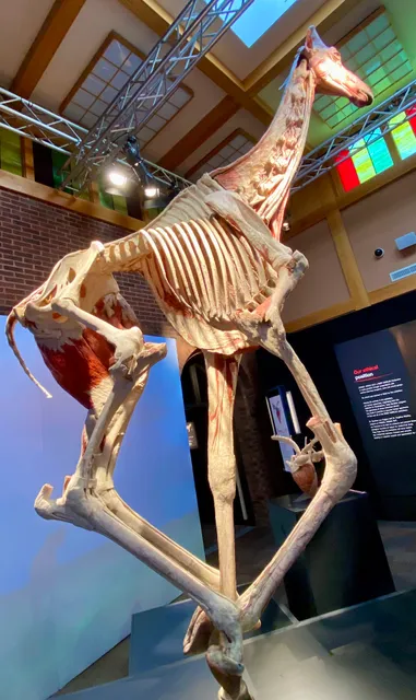 Bossard Memorial Library