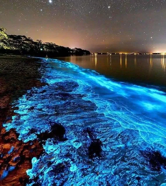 Bahía Bioluminiscente