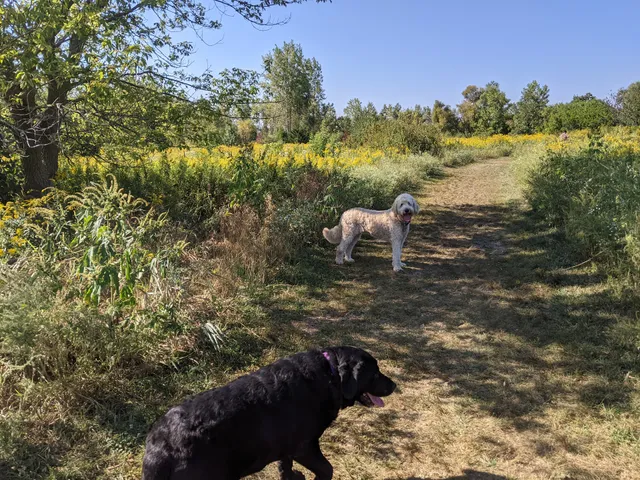 Springbrook Prairie Dog Park